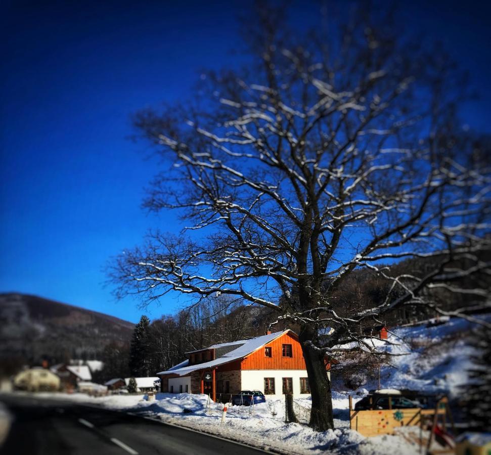 Chata U Cecila Loucna nad Desnou Exterior foto